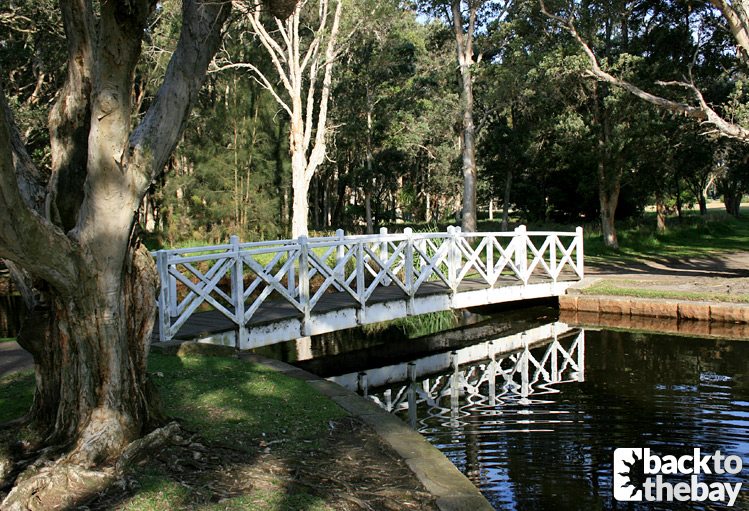 Lily Pond Centennial Park