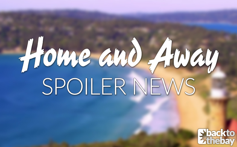 A Summer Bay Wedding on the Horizon